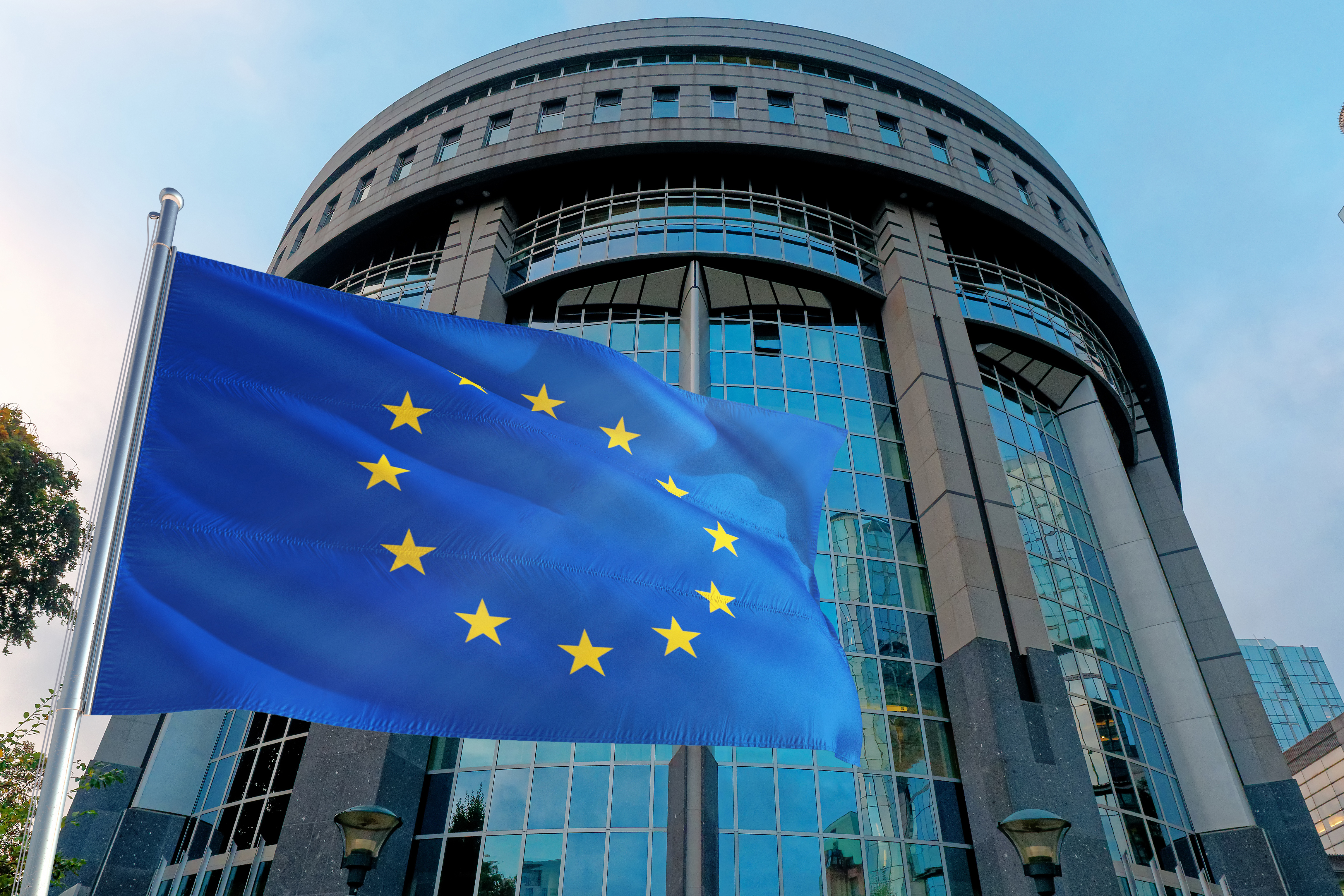 Флаг ЕС символизирует ВНЖ в Европе